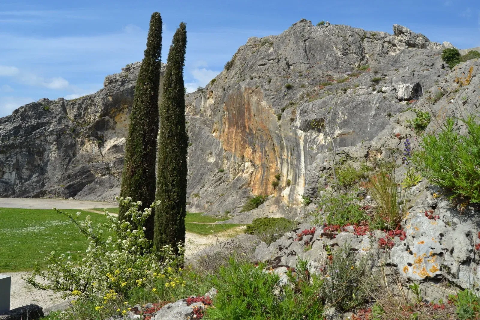 Vue panoramique de la falaise calcaire et de la nature ensoleillée.